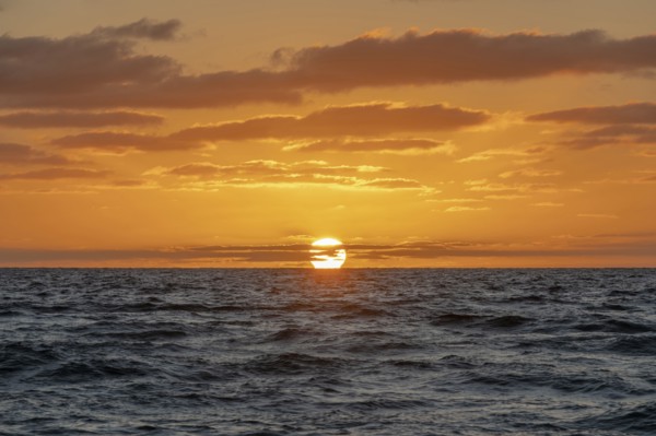 Sun rising above ocean