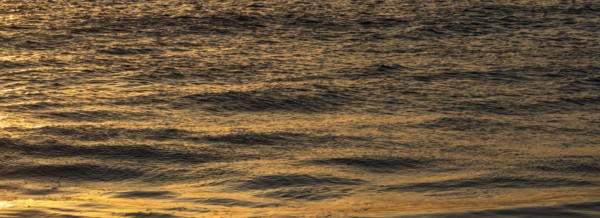 Calm ocean surface reflecting golden light at sunrise