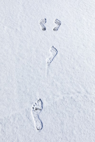 Overhead view of bare footprints in fresh snow