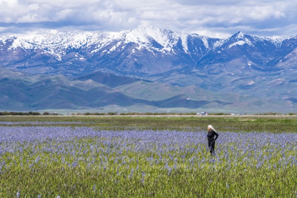 Senior woman standing in field of camas lilies with Soldier Mountain in background