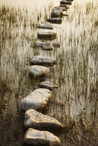 Stepping stones in lake