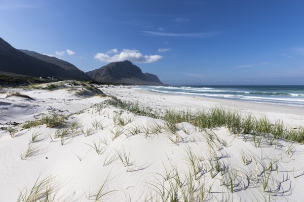 South Africa