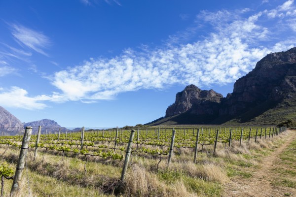 South Africa