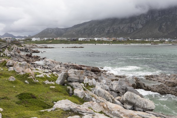 South Africa