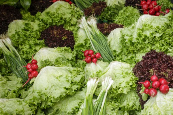 Fresh vegetables at farmers market