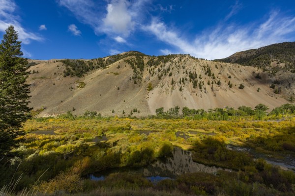 Beaver ponds in valley