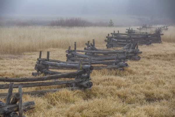 Rural scene with rail fence