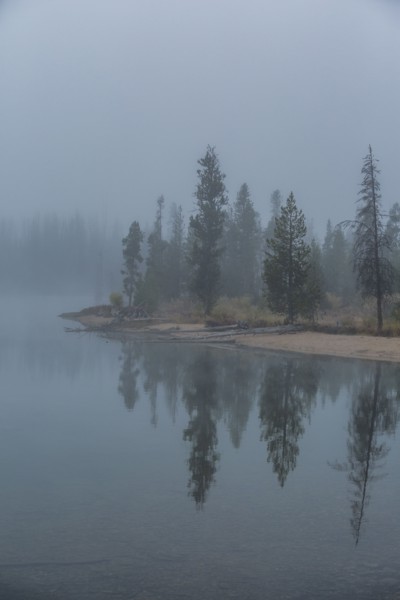 Foggy lake shoreline