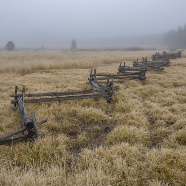 Rural scene with rail fence