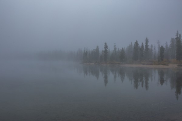 Fog over lake and forest in autumn