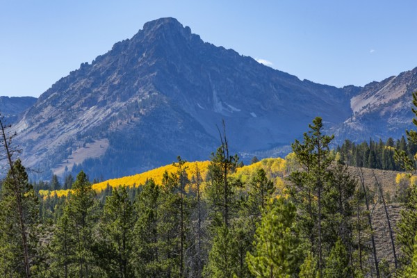 Scenic mountain in autumn