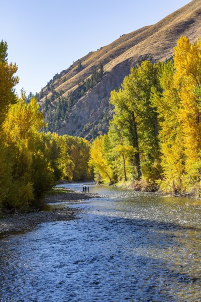 Distant view of family admires fall along river in autumn