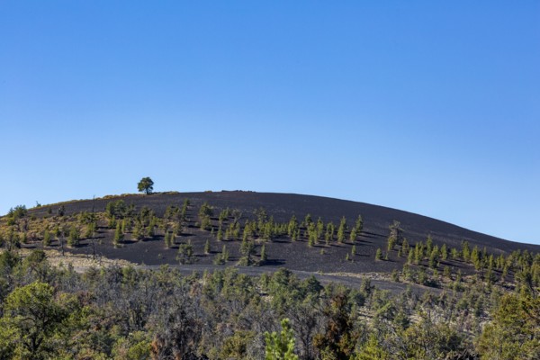 Landscape with cinder cone