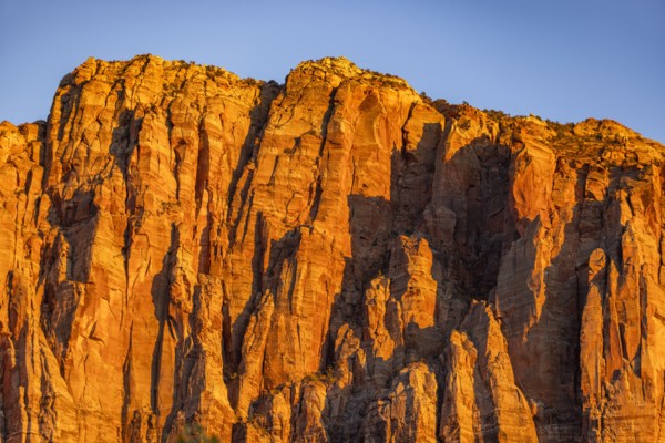 Red cliffs at sunset in Zion National Park