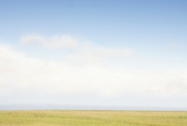 Sky above grass near beach