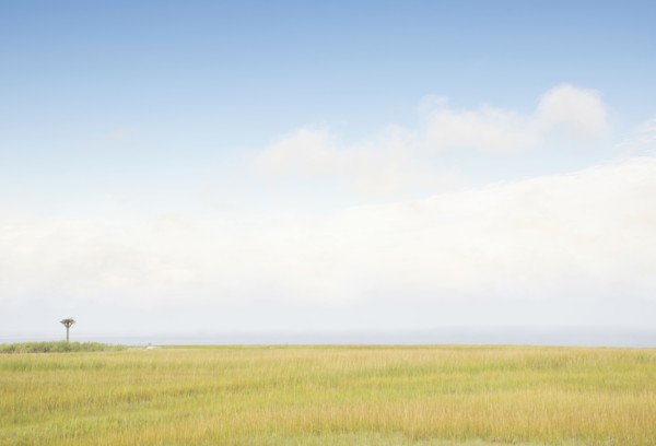 Sky above grass near beach