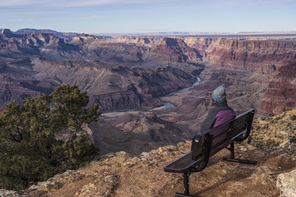 Rear view of female tourist sitting on bench in Grand Canyon National Park