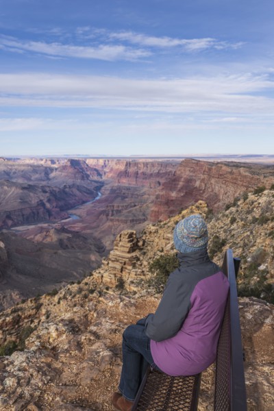 Rear view of female tourist sitting on bench in Grand Canyon National Park