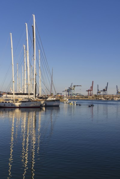 Sailboats moored at marina with dock cranes in background