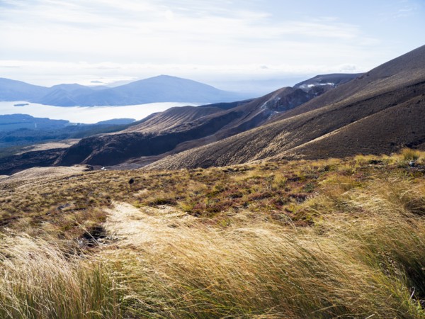 Volcanic landscape