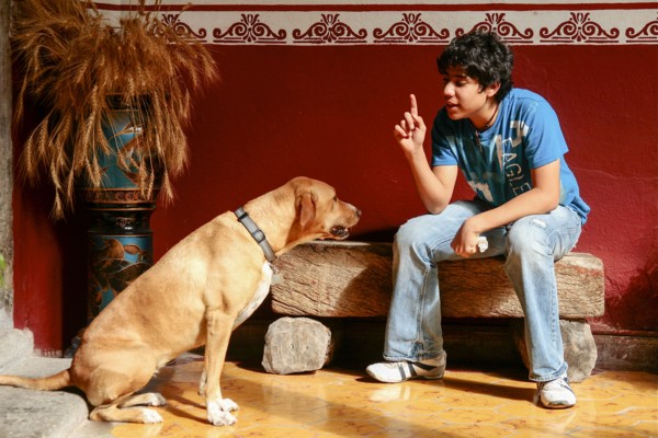 Boy sitting on stone bench and gesturing to dog