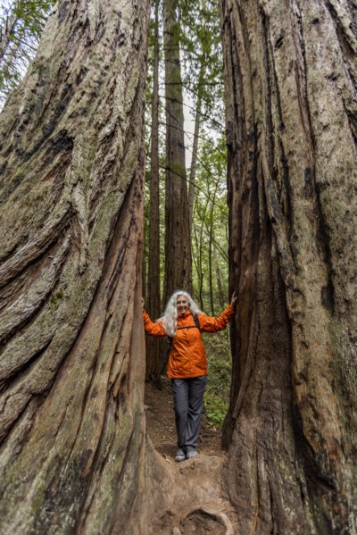 Senior woman touching large redwood trees on hike