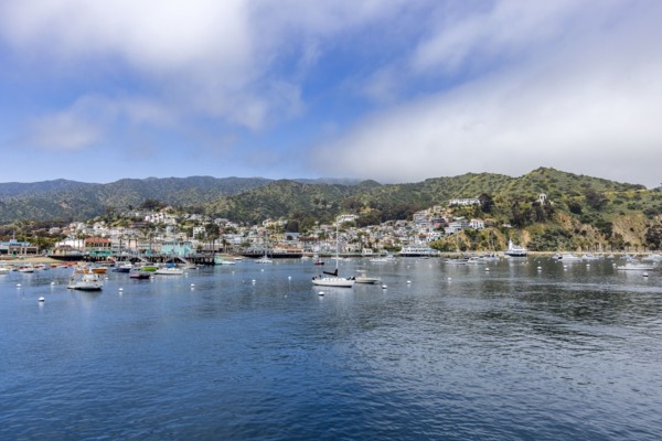 View of Avalon Harbor and town on sea coast