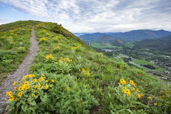 Hiking trail on Carbonate Mountain