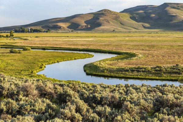 Silver Creek stream flowing through farmland