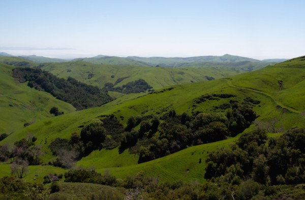 Rolling green landscape with clear sky above