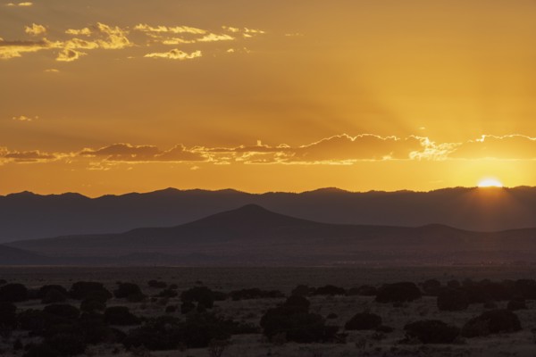 USA New Mexico