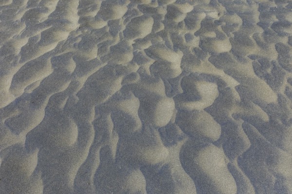Wind sculpted patterns in beach sand