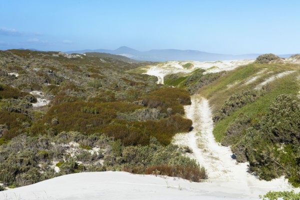 South Africa