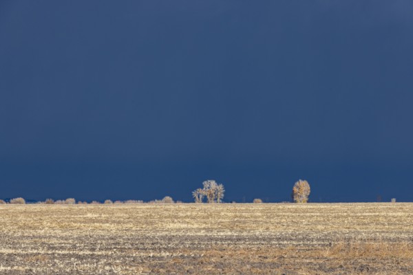 Stormy skies over farm country, Fairfield, Idaho, USA