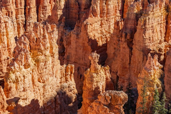 Close-up of hoodoos in Bryce Canyon National Park, , Utah, USA
