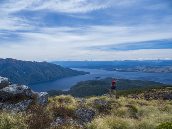 Hiker looking at fjord and mountains in Fiordland National Park, Te Anau, Fiordland, New Zealand