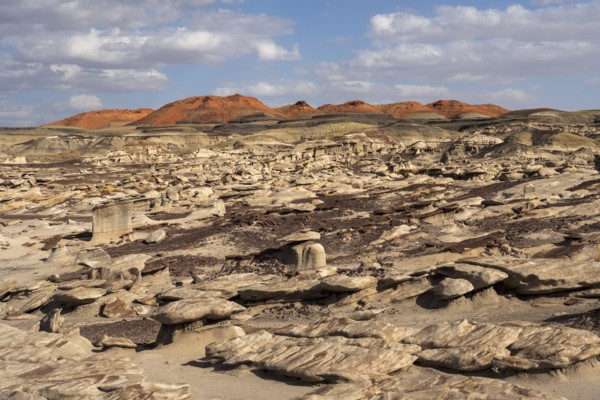 Usa, New Mexico, Bisti Wilderness, Rock formations in Bisti/De-Na-Zin Wilderness, , New Mexico, USA