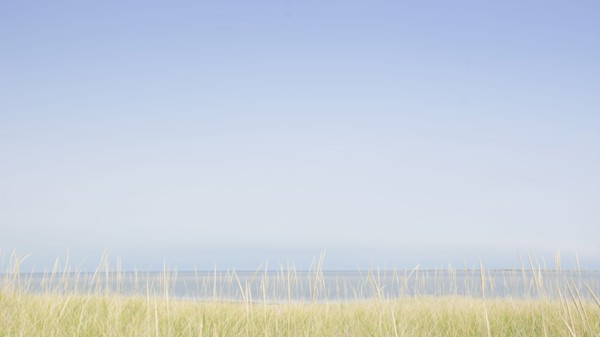USA, M, Nantucket, View of Nantucket Sound from Madaket with grass in foreground, Nantucket,