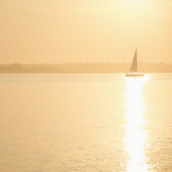 USA, South Carolina, Charleston, Sailboat on Charleston Harbor at sunset, Charleston, South