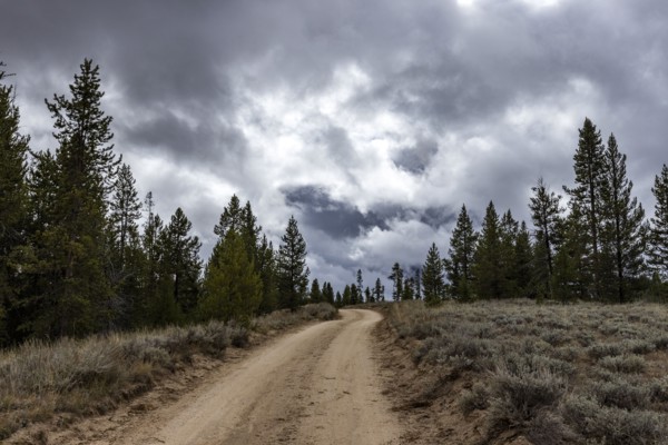 USA, Idaho, Dirt road leads through Sawtooth National Forest on cloudy day, Stanley, Idaho, USA