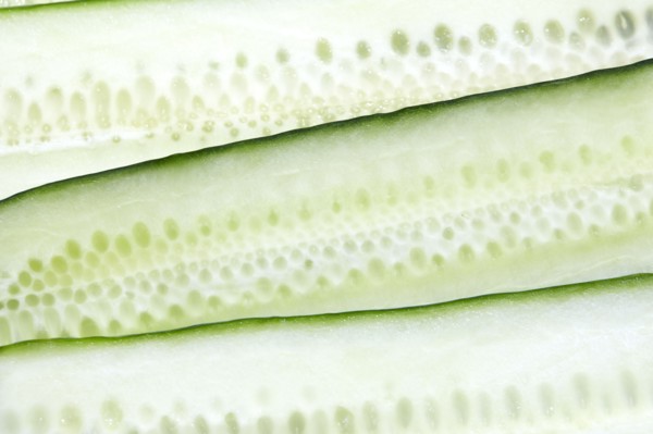 Close-up of fresh sliced cucumbers, New York City, New York, USA