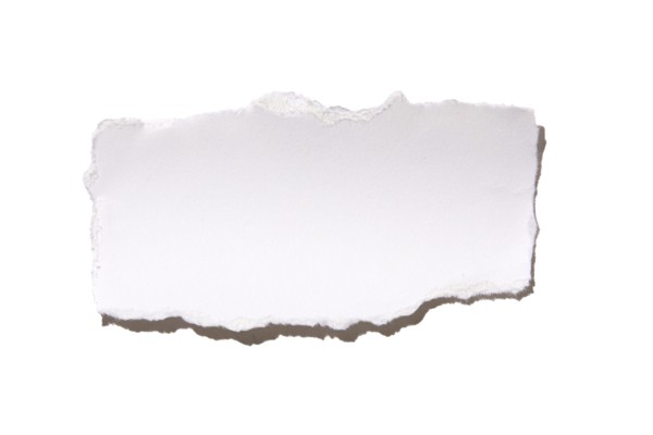 Torn peace of paper on white background, New York City, New York, USA