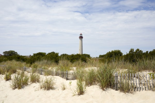 USA, New Jersey, Capy May, Grass on sand dunes with Cape May Lighthouse in distance, Capy May, New
