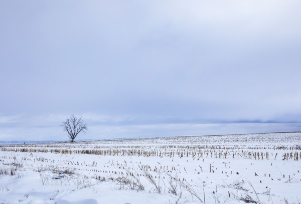 Empty highway 20 crossing snow covered fields in winter, Gooding, Idaho, USA