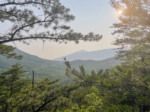 USA, Virginia, Blacksburg, Sun shining through tree branches in hilly landscape, Blacksburg,