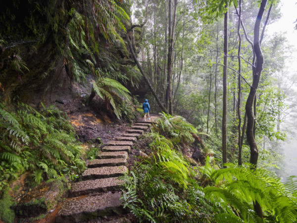 Rear view of woman climbing up stone steps in forest
Katoomba, New South Wales, Australia