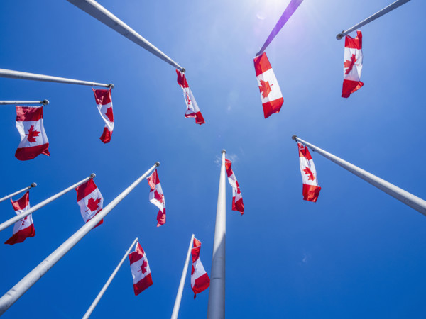 Low angle view of Canadian flags on flagpoles against blue sky on sunny day
Vancouver, British
