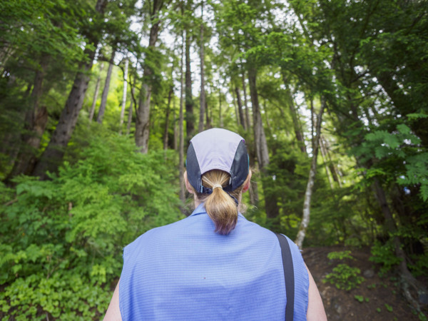 Rear view of woman walking in forest
Wrangall, Alaska, USA