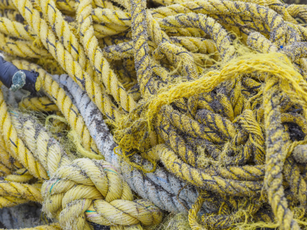 Close-up of old tangled fishing ropes
St Matthew Island, Alaska, USA