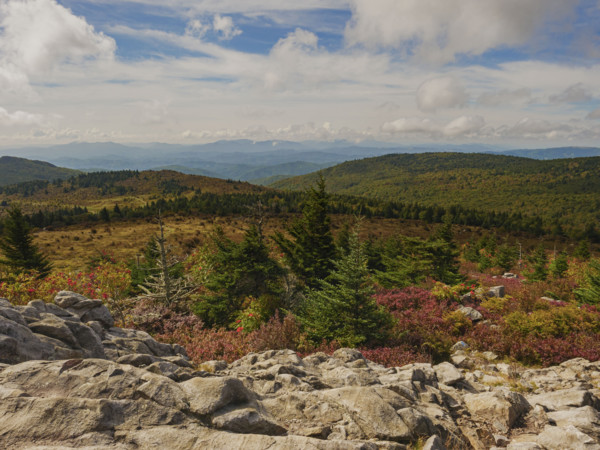 Trees and rocks in mountain landscape
Mount Rogers National Recreation Area, Virginia, USA